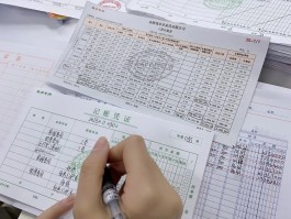 成都财政会计(成都财政会计学会官网)