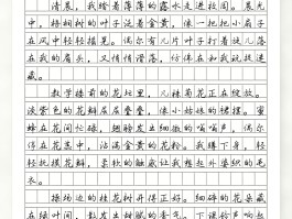 状物作文(状物作文五年级)
