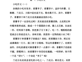 关于美食的作文(关于美食的作文怎么写)