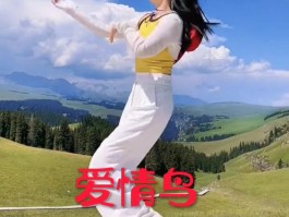 爱情鸟歌词(歌曲爱情鸟歌词)