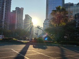 阳光下的真实(阳光下的真实全部解锁攻略)