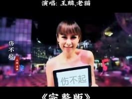 伤不起歌词(伤不起歌词全部歌词)