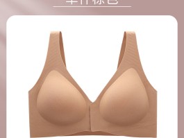 内衣一线品牌有哪些(中国一线内衣10大品牌)