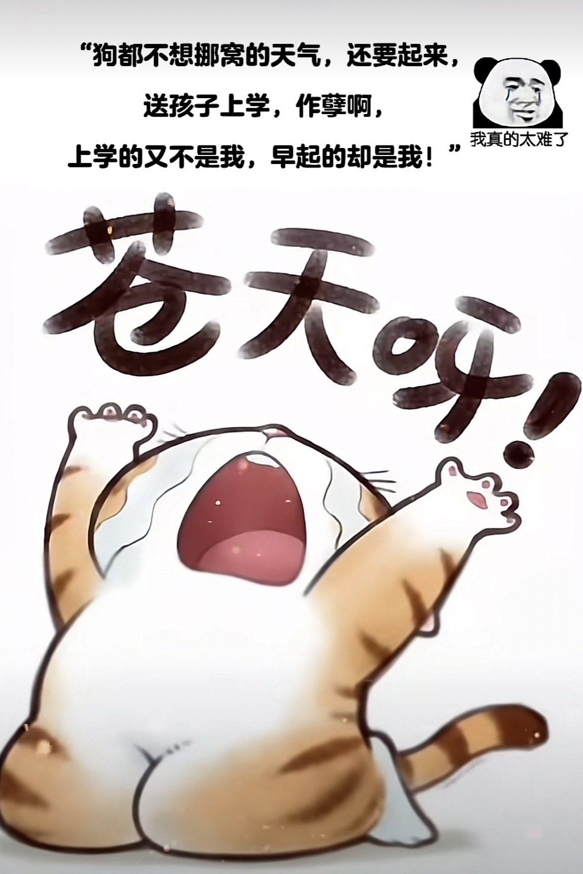伤不起歌词(伤不起歌词王麟演唱) 伤不起歌词(伤不起歌词王麟演唱)